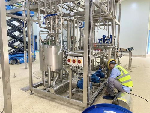 華東最大奶酪加工工廠建成 預計今年底達產產值1.8億元